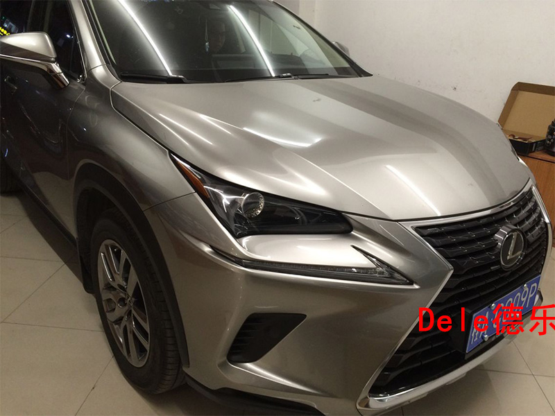 雷克薩斯NX300德國(guó)曼斯特音