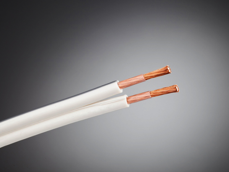 切爾諾夫 幽致2 喇叭線